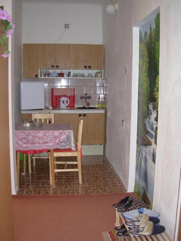 Penzion Hlinkova Plzeň Chambre photo