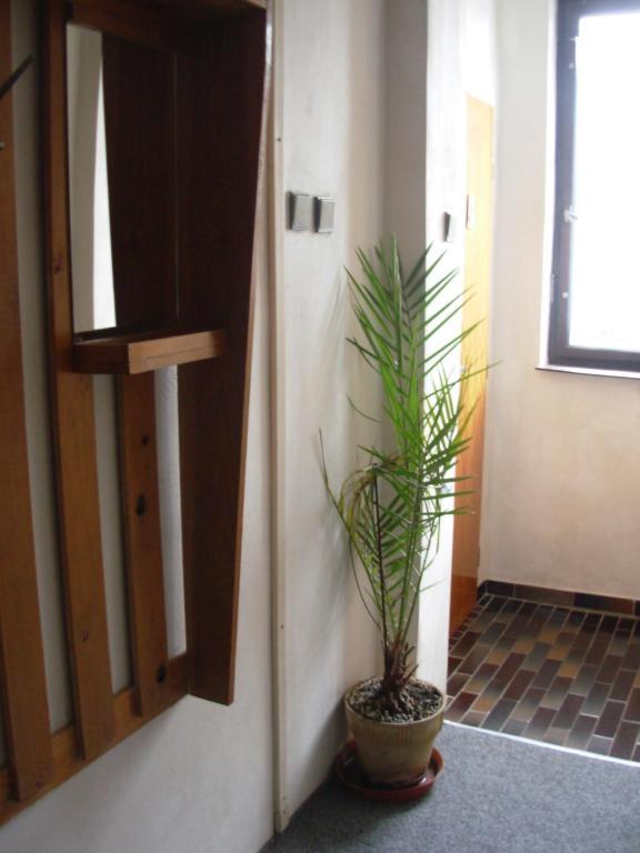 Penzion Hlinkova Plzeň Chambre photo