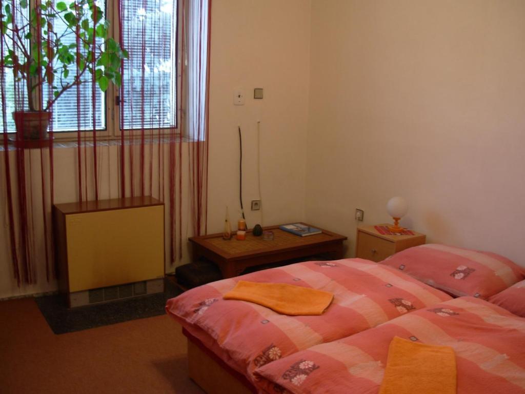Penzion Hlinkova Plzeň Chambre photo